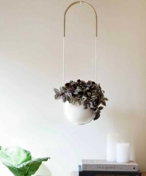 Suspension pour Plantes, Umbra