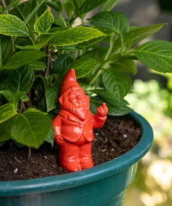 Gnome Irrigateur de Plantes - Plusieurs Coloris, Fisura