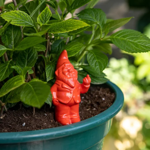 Gnome Irrigateur de Plantes - Plusieurs Coloris, Fisura