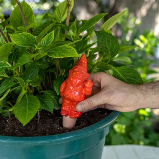 Gnome Irrigateur de Plantes - Plusieurs Coloris, Fisura