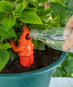 Gnome Irrigateur de Plantes - Plusieurs Coloris, Fisura