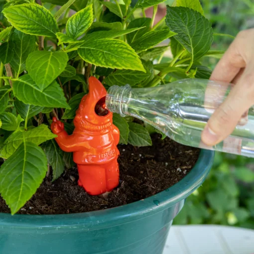 Gnome Irrigateur de Plantes - Plusieurs Coloris, Fisura