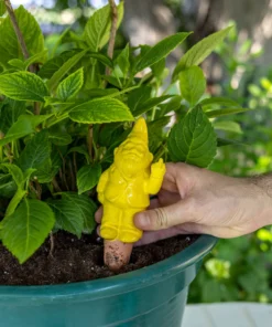 Gnome Irrigateur de Plantes - Plusieurs Coloris, Fisura