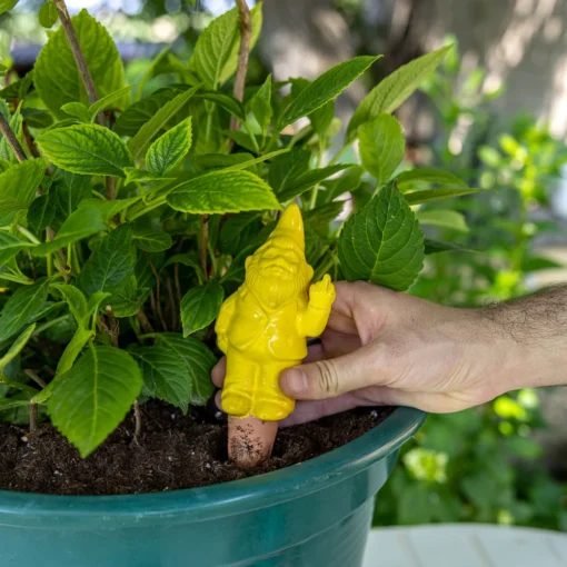 Gnome Irrigateur de Plantes - Plusieurs Coloris, Fisura