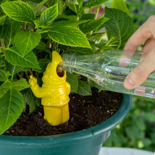 Gnome Irrigateur de Plantes - Plusieurs Coloris, Fisura