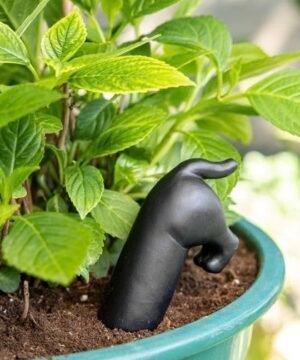 Chien Irrigateur de Plantes, Fisura