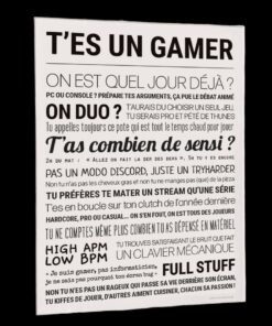 Affiche T'es un Gamer, Tout Est Dit.