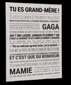 AFFICHE TU ES GRAND MERE