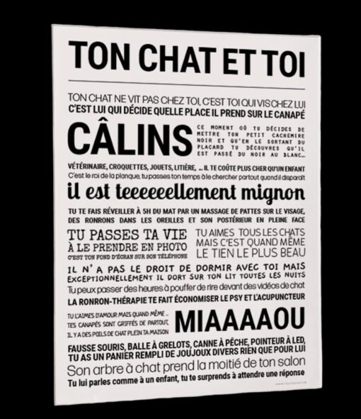 AFFICHE TOI ET TON CHAT