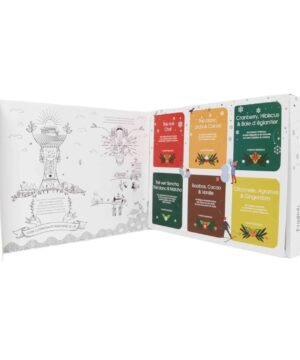 Coffret Délices d'Hiver Bio 48 sachets