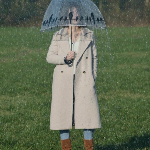 Parapluie transparent oiseaux, Esschert Design