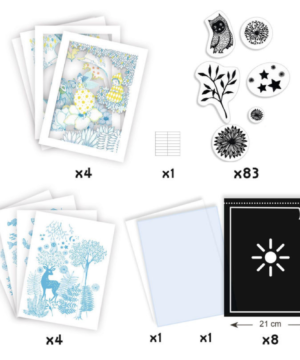 Coffret cyanotype 