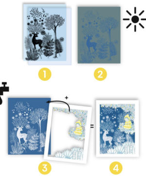 Coffret cyanotype 