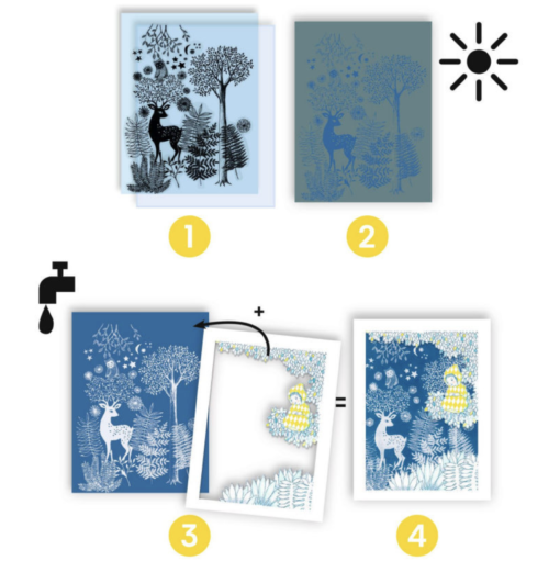 Coffret cyanotype "Au clair de la lune", Djeco